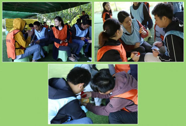 优越会新能源_厚积薄发_赢胜2021(图16)