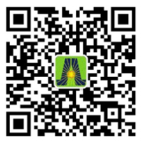 深圳市优越会新能源有限公司